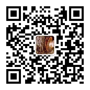 qrcode_for_gh_580d29a6d335_344.jpg